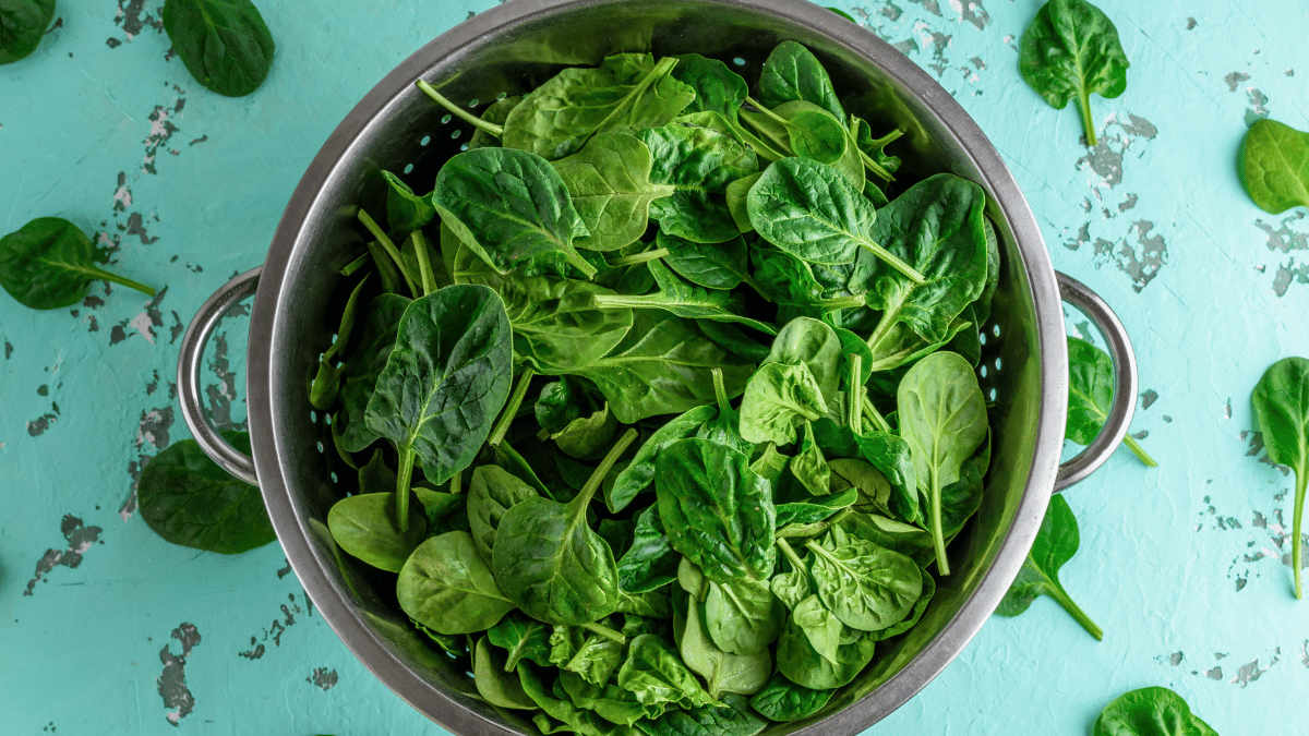 Green spinach leaves in an iron colander on a green background